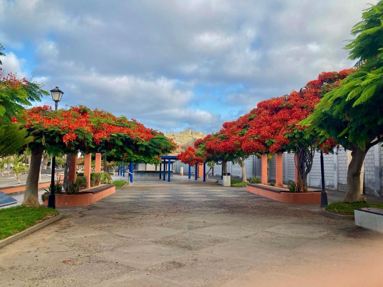 Casa Antonio - Apartamento Orion Playa de San Juan  Eksteriør billede