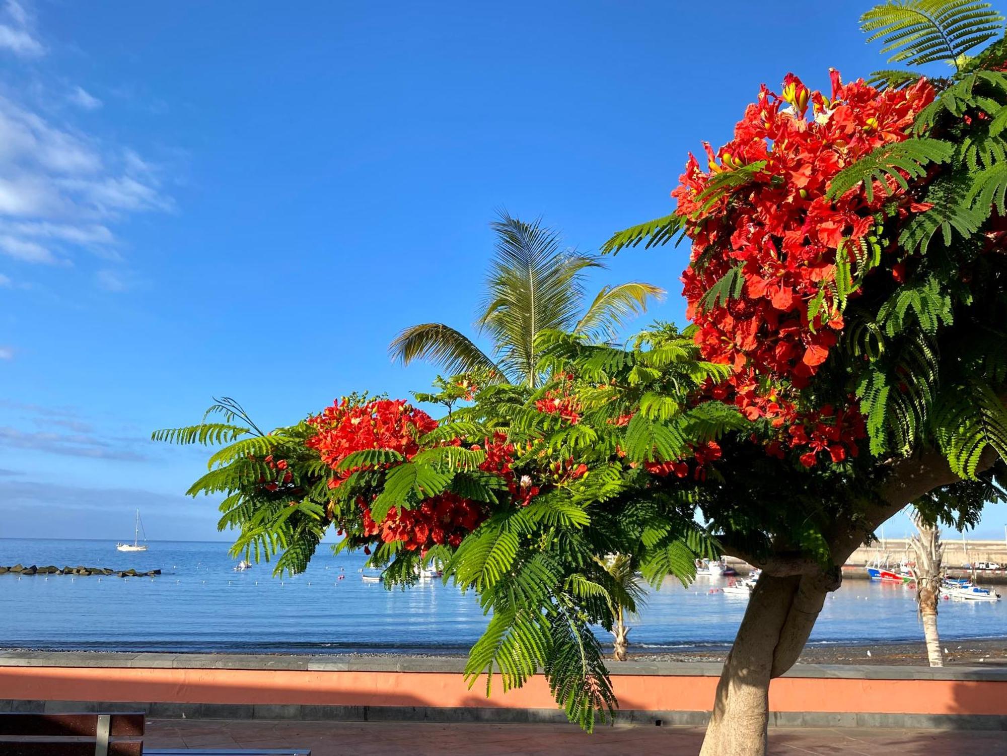 Casa Antonio - Apartamento Orion Playa de San Juan  Eksteriør billede